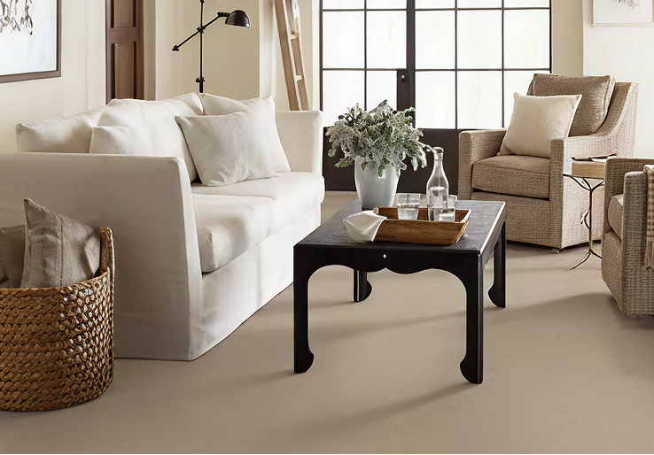 Stain-Resistant Carpeting