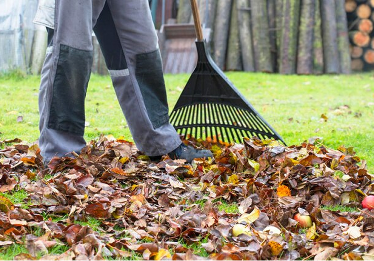 Seasonal Cleanup